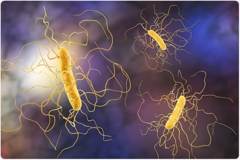 Image of 3 bacteria